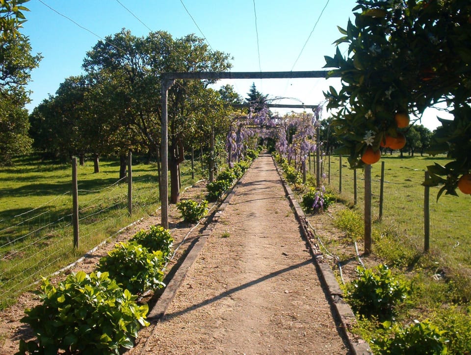 Quinta do Casalinho Bed and Breakfast in Santarém District, Portugal