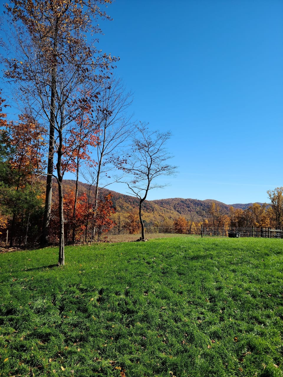 Fall colors