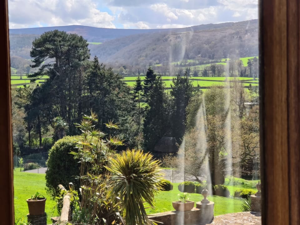 Luxury Suite, Ensuite, Garden View (Martinhoe) | View from property