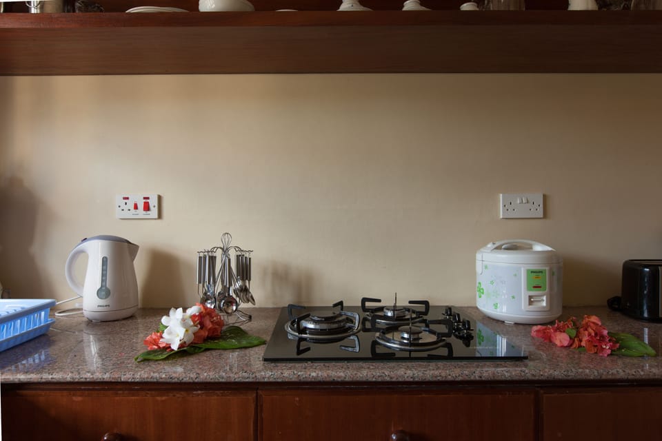Stovetop, electric kettle, toaster oven