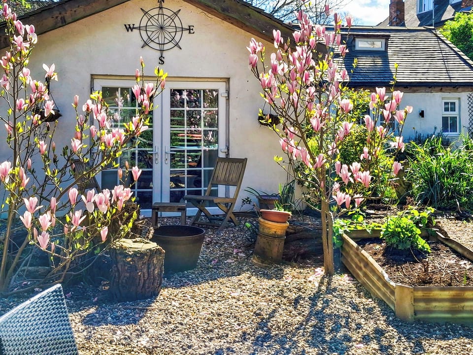 Garden | The Little House in Hull, Hull, near Beverley