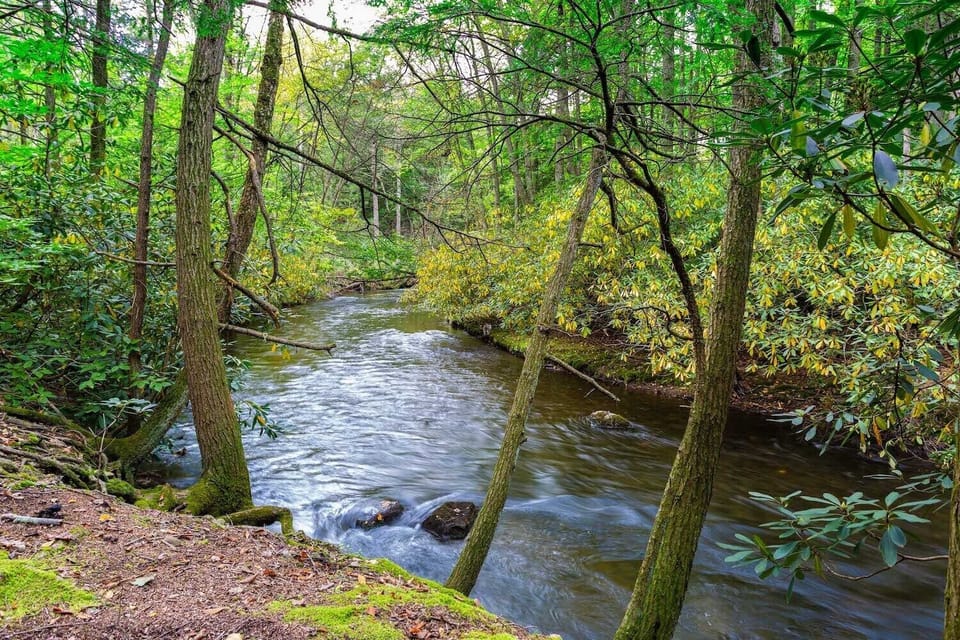 Peacefully flowing stream for you to find