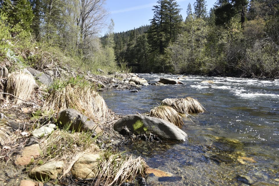 Early spring river access.