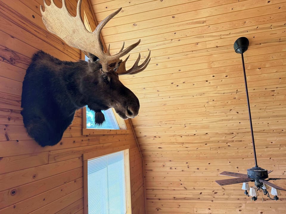 Immerse yourself in the true spirit of the great outdoors with the cabin's signature, majestic wall-mounted moose, adding the perfect rustic touch to the loft.