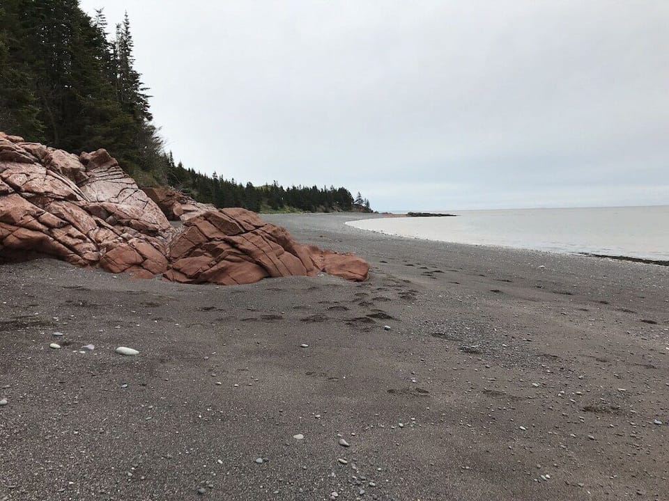 Brown's Beach