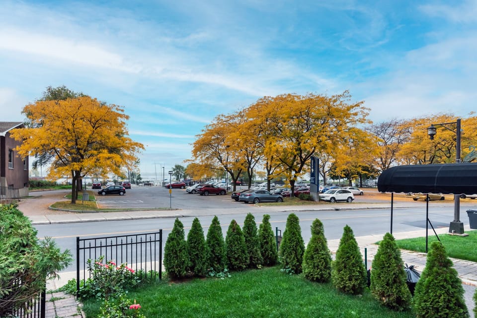 View from the house's front porch.