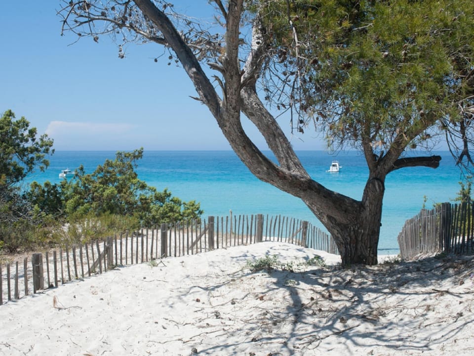 Surroundings [summer] (1-5 km)