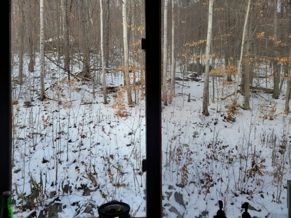 View from kitchen window