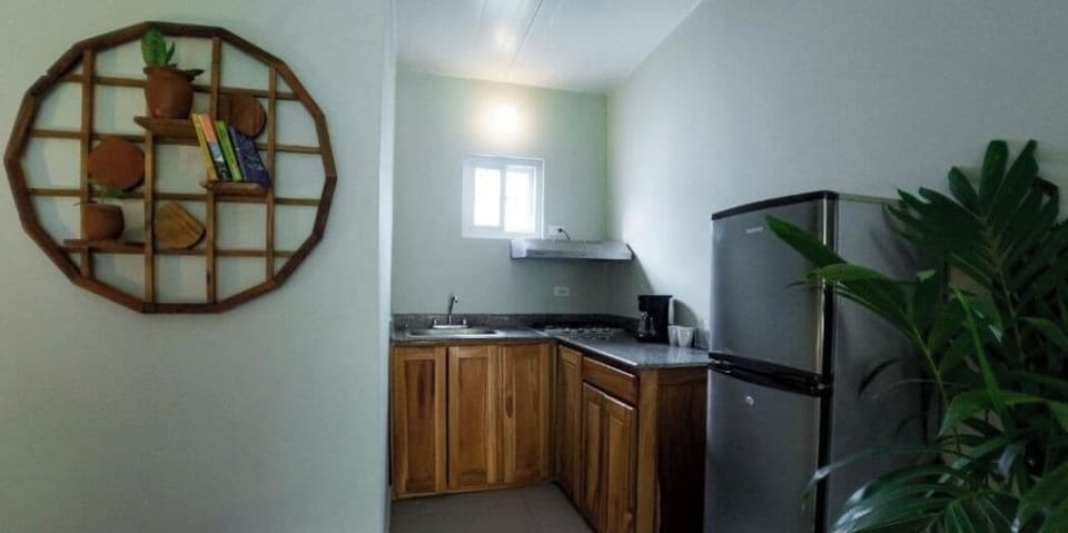 Luxury Studio, 1 Queen Bed with Sofa bed | Private kitchen