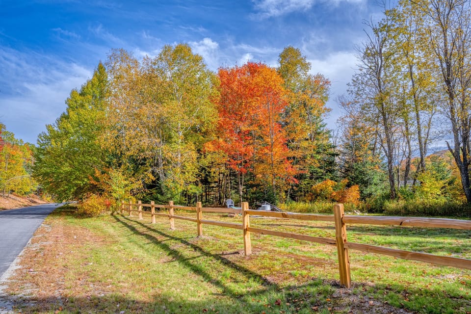 Large Yard with Firepit