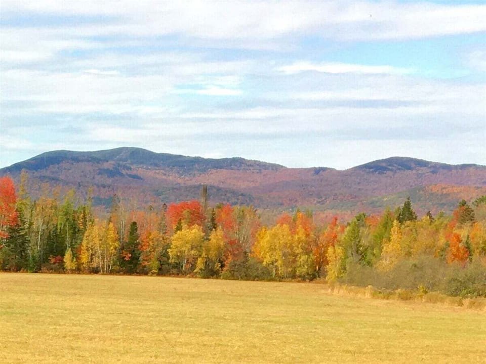 Exterior View of Foliage