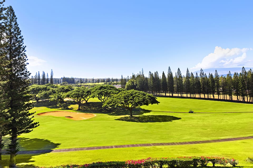 Overlooking the Kapalua Bay golf course