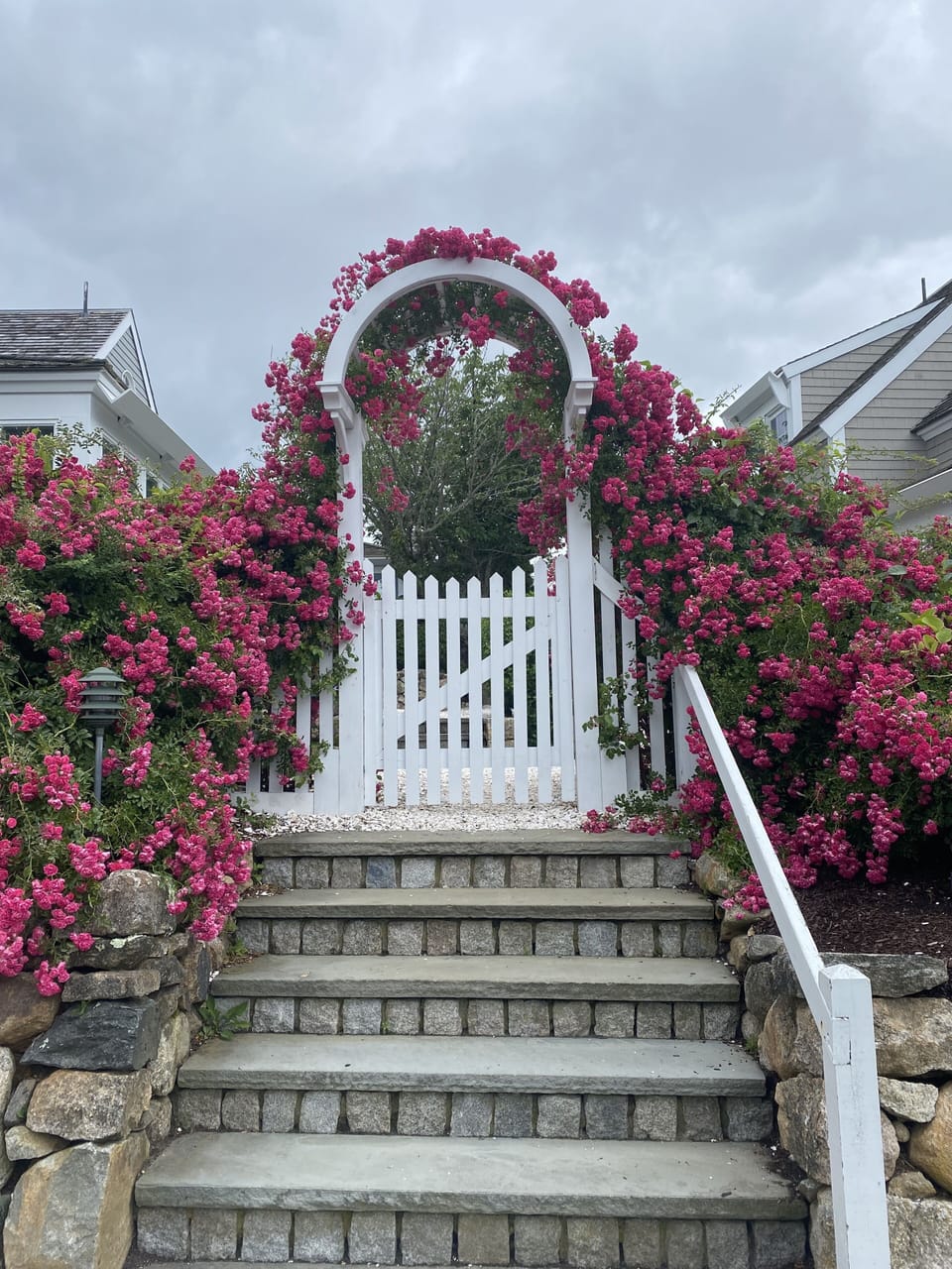 Rose covered flower arch next to unit