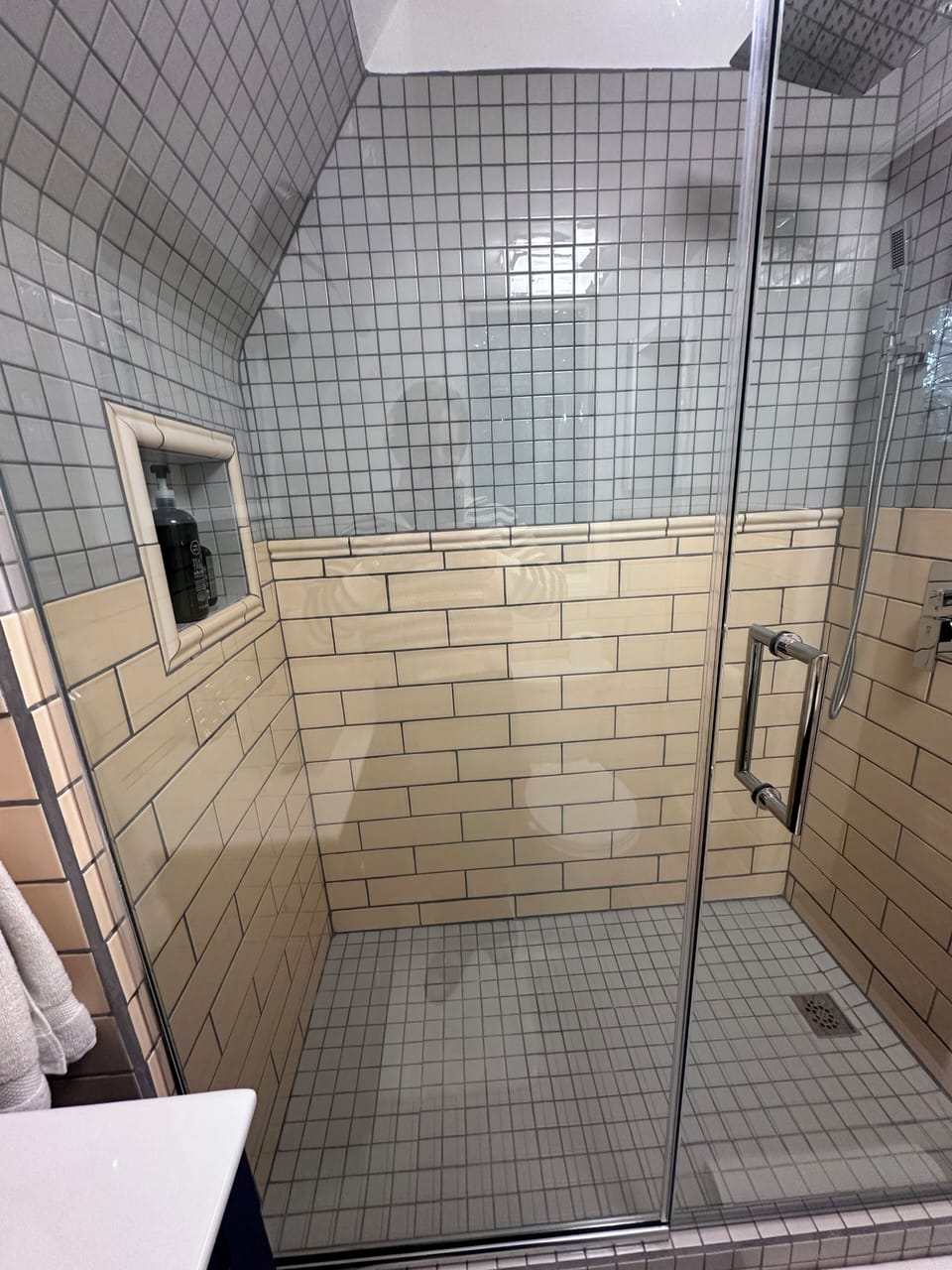 Walk-in shower with rain head shower