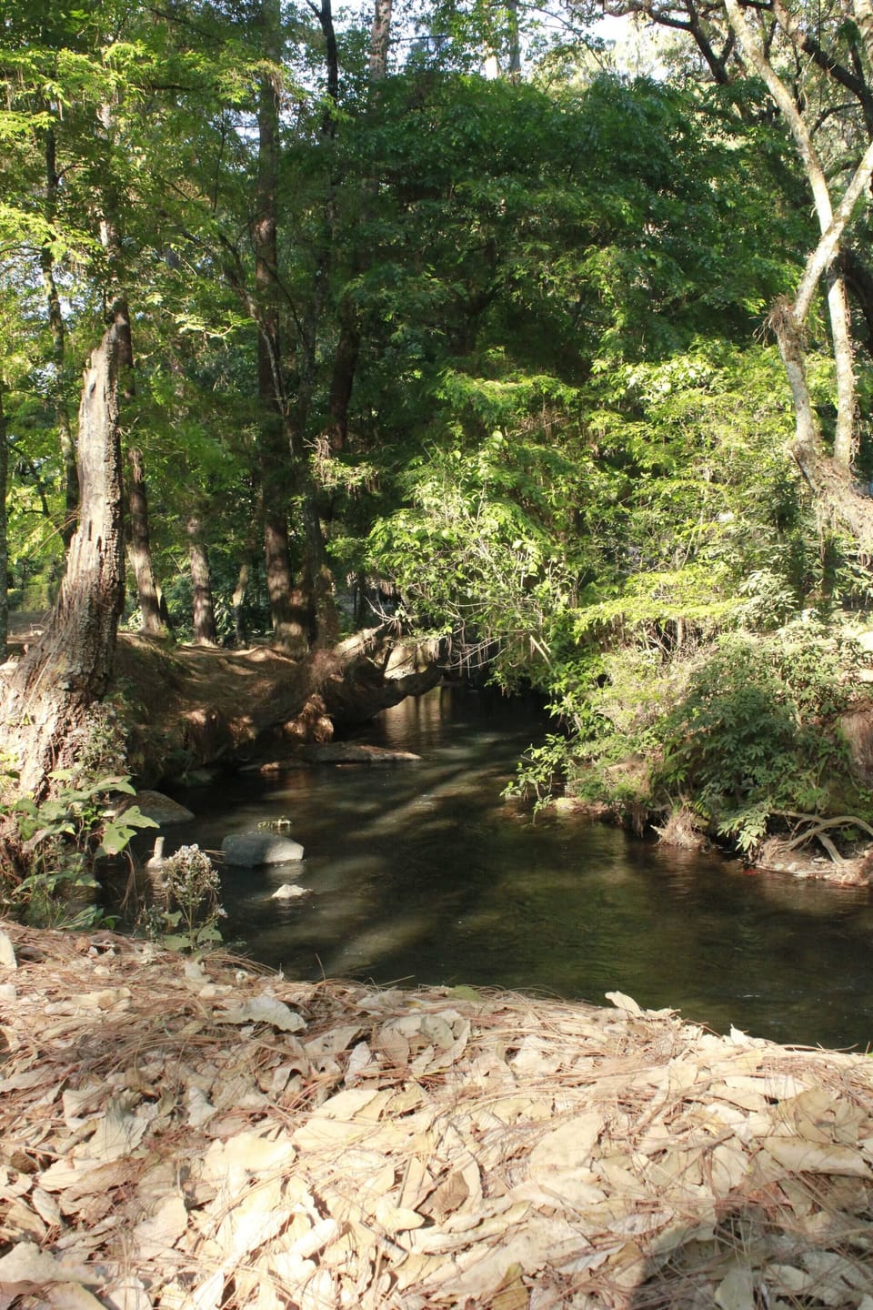 House, 3 Bedrooms, Smoking, Private Pool | Property grounds