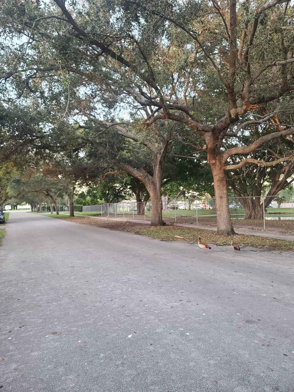 Property grounds