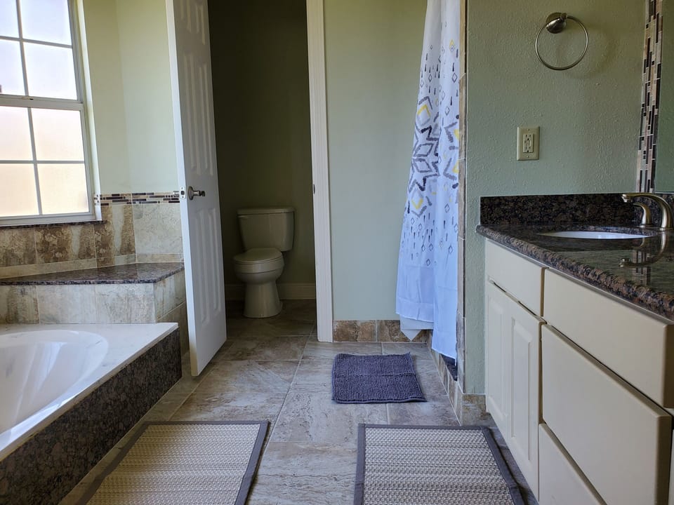 Master bath - 1st floor. sunken tub, dual sinks, stand-alone  shower