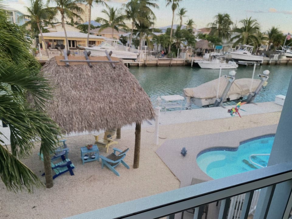 Tiki , Pool, Dock