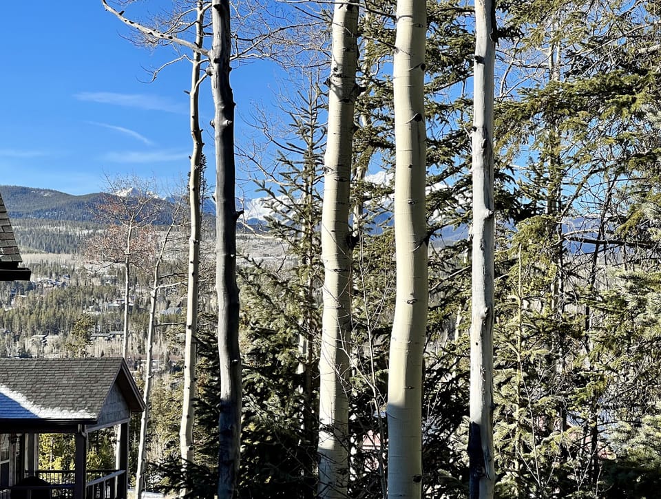 Views from the deck