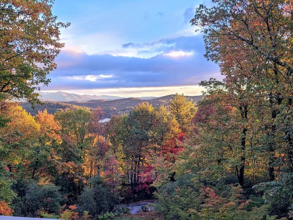 View from property