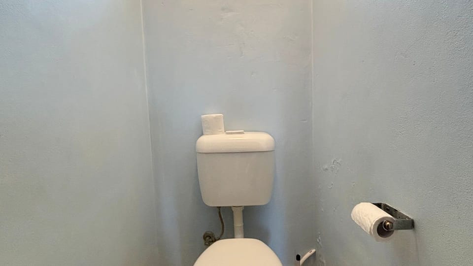 Separate toilet. 