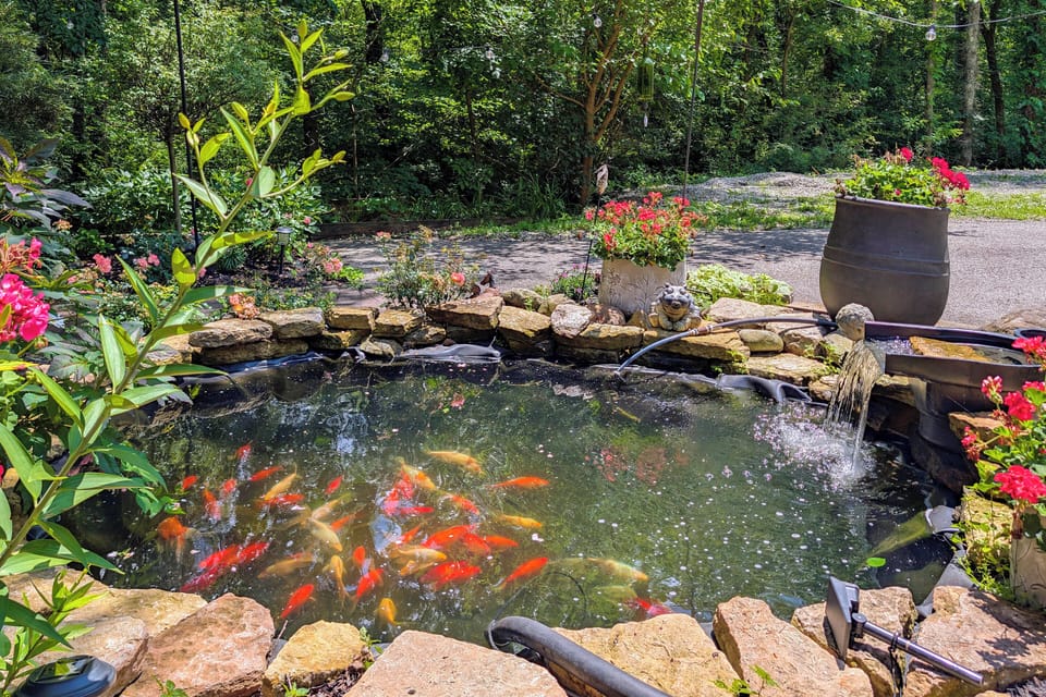 Yard Space | Koi Pond