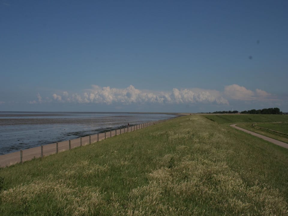 Immediate Surroundings [summer] (<1 km)