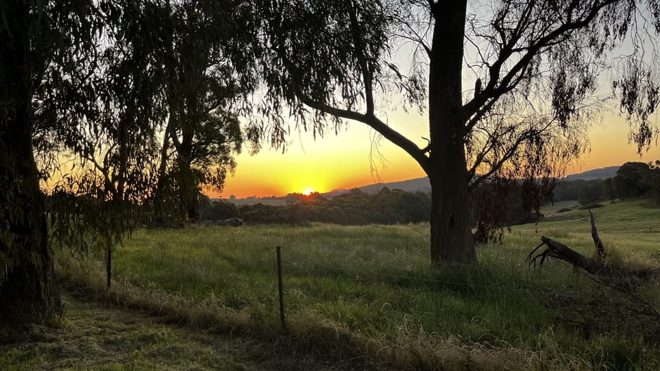 Sunset views