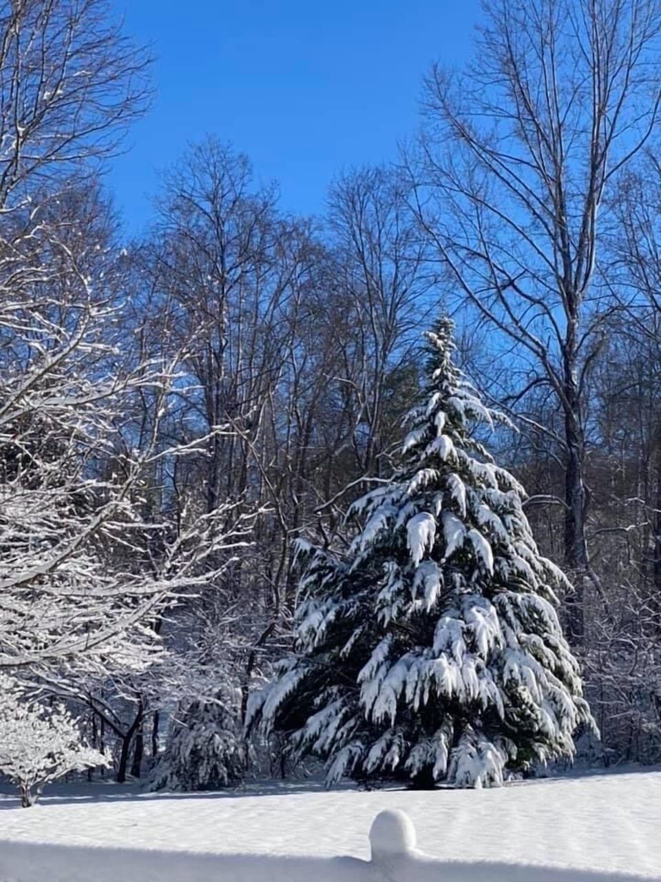 Beautiful Snow