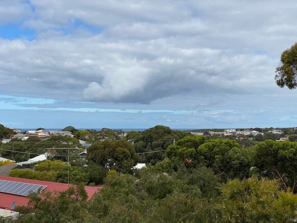 Beautiful sea view across the treetops