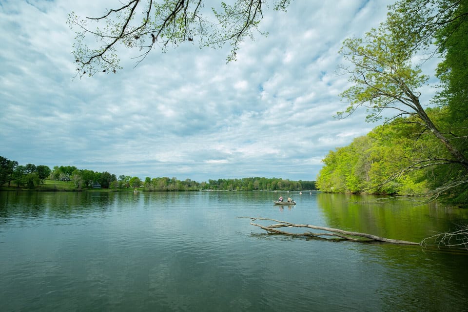 Lake Logan