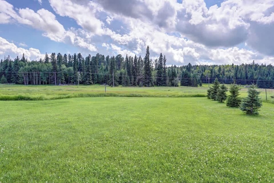 Elk Creek Retreat  outside view of forest. 