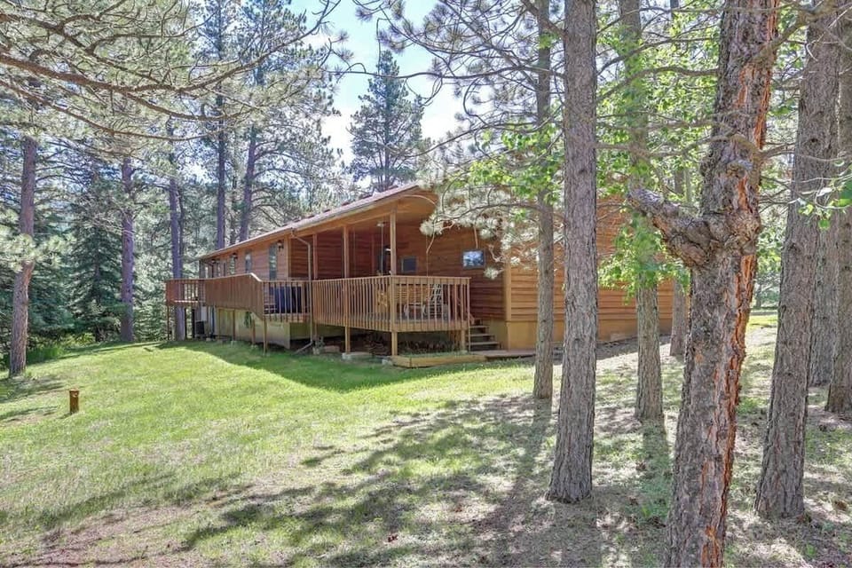 Chase`s cabin back deck view of the pines. 