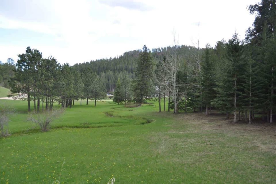 Chase`s cabin with creek and forest views. 