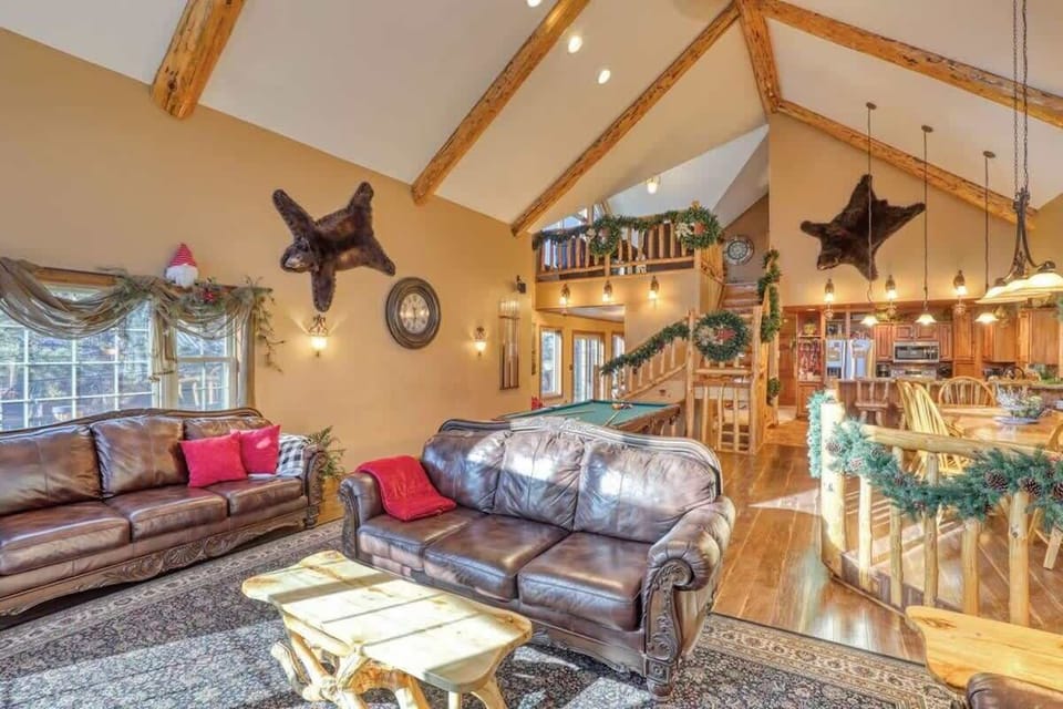 Living area with Bear rug