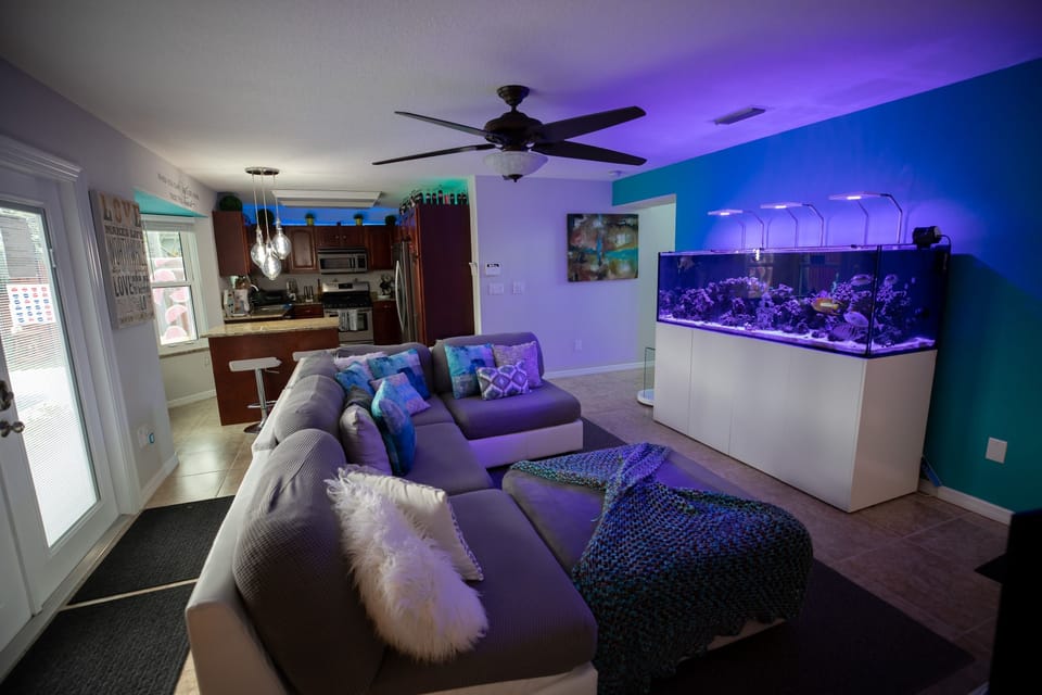 Living Room, Room, Indoors, Couch, Furniture