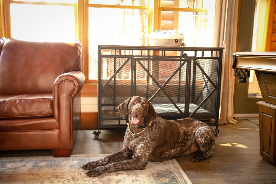Pet-friendly cabin with a dog crate available for your furry companion.