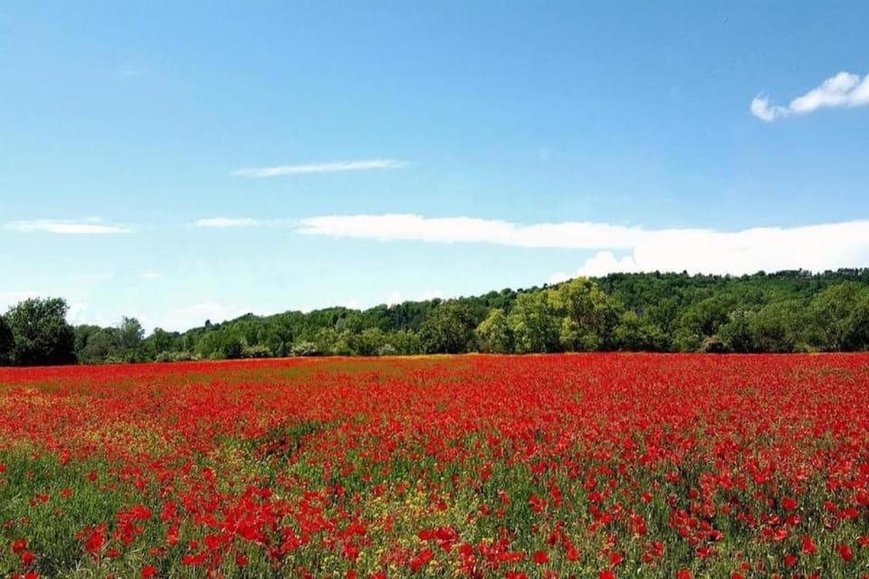 Region [summer] (>5 km)