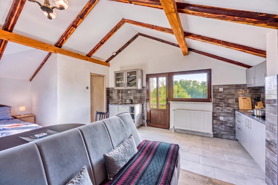 Family House, 1 Bedroom, 2 Bathrooms (House Pepica with Jacuzzi in Zagorje) | Living area | TV