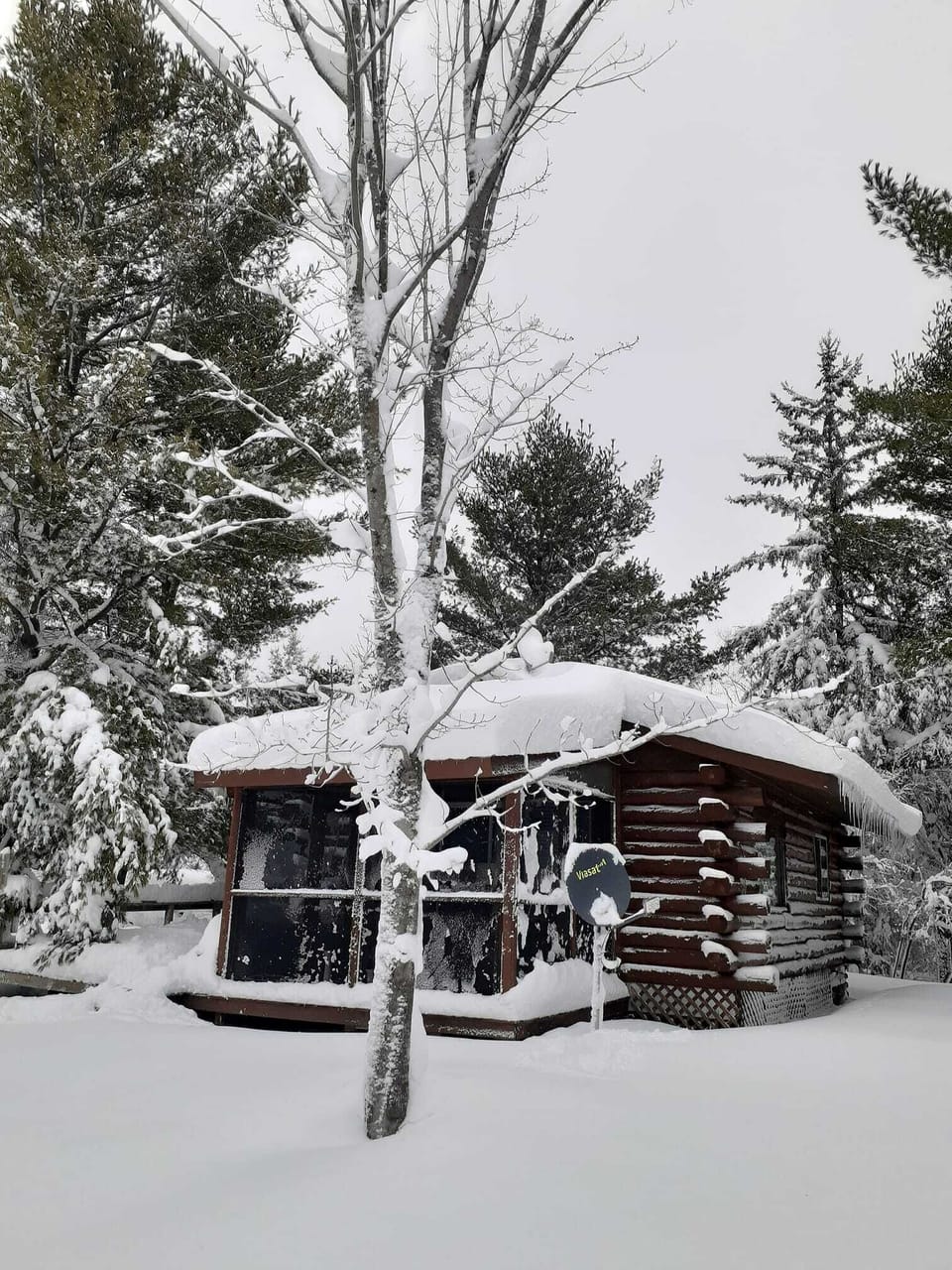 Winter wonderland