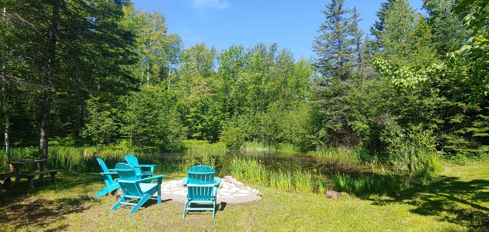 Fire Pit overlooking the pond
