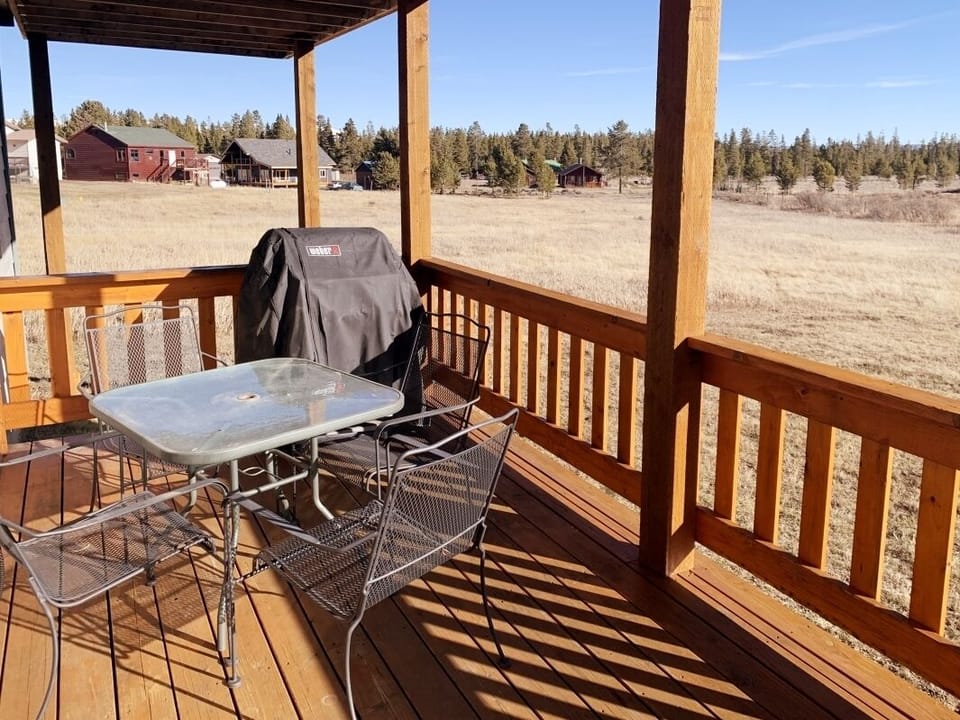 Back Patio with BBQ Grill
