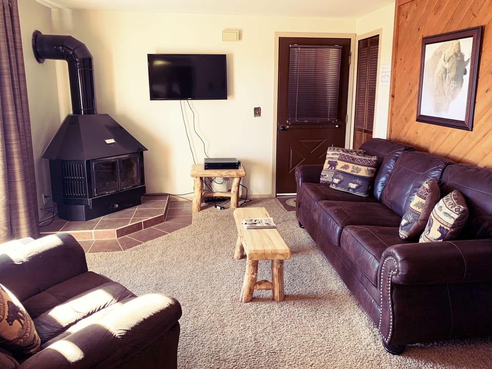 Livingroom with a Queen size sleeper sofa 