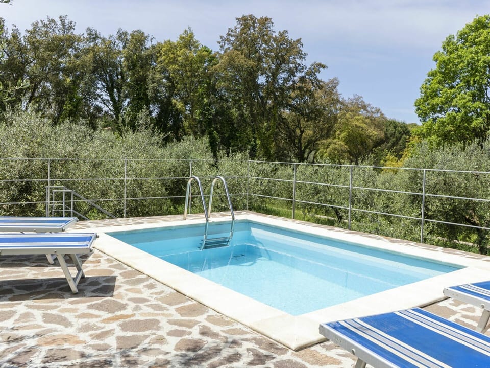 Water, Sky, Property, Swimming Pool, Azure, Plant, Shade, Rectangle, Grass, Tree