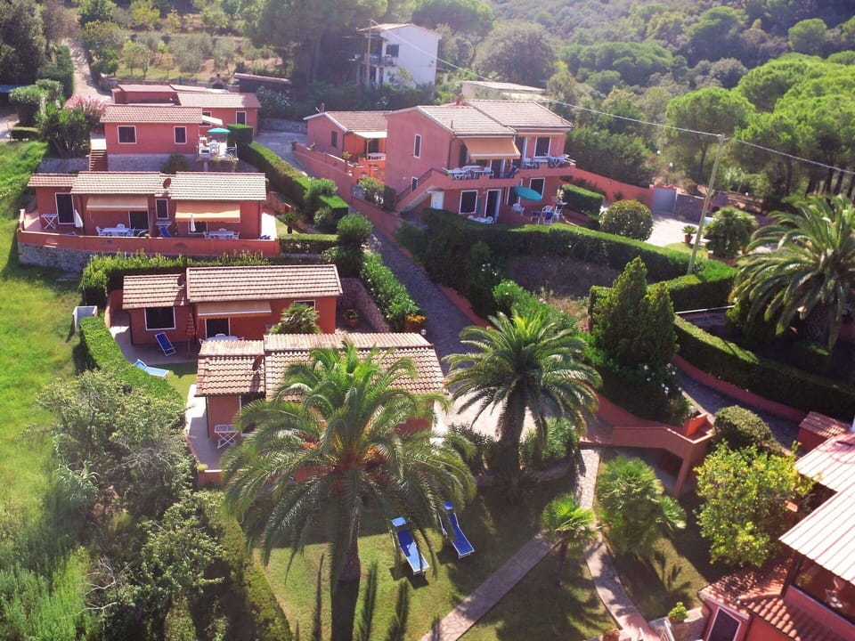Property, Building, Plant, Tree, Nature, House, Urban Design, Biome, Residential Area, Arecales