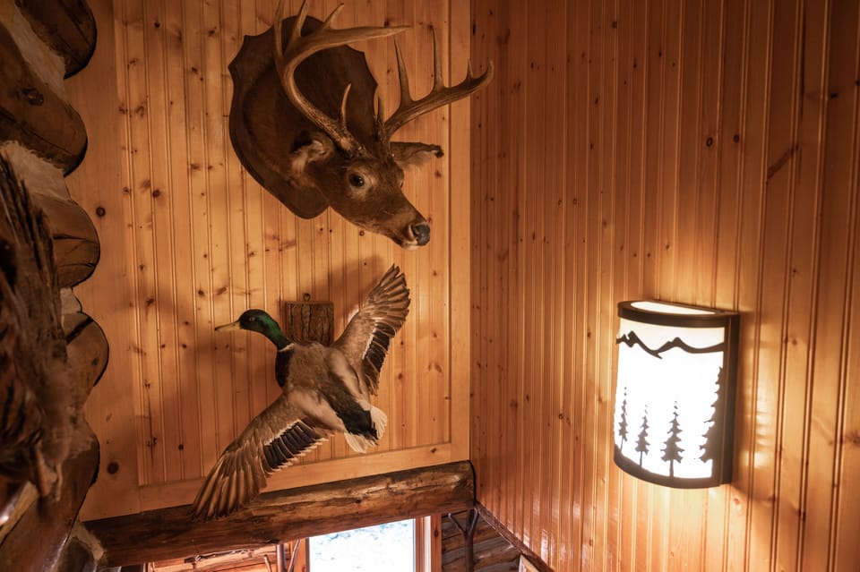 Interior detail