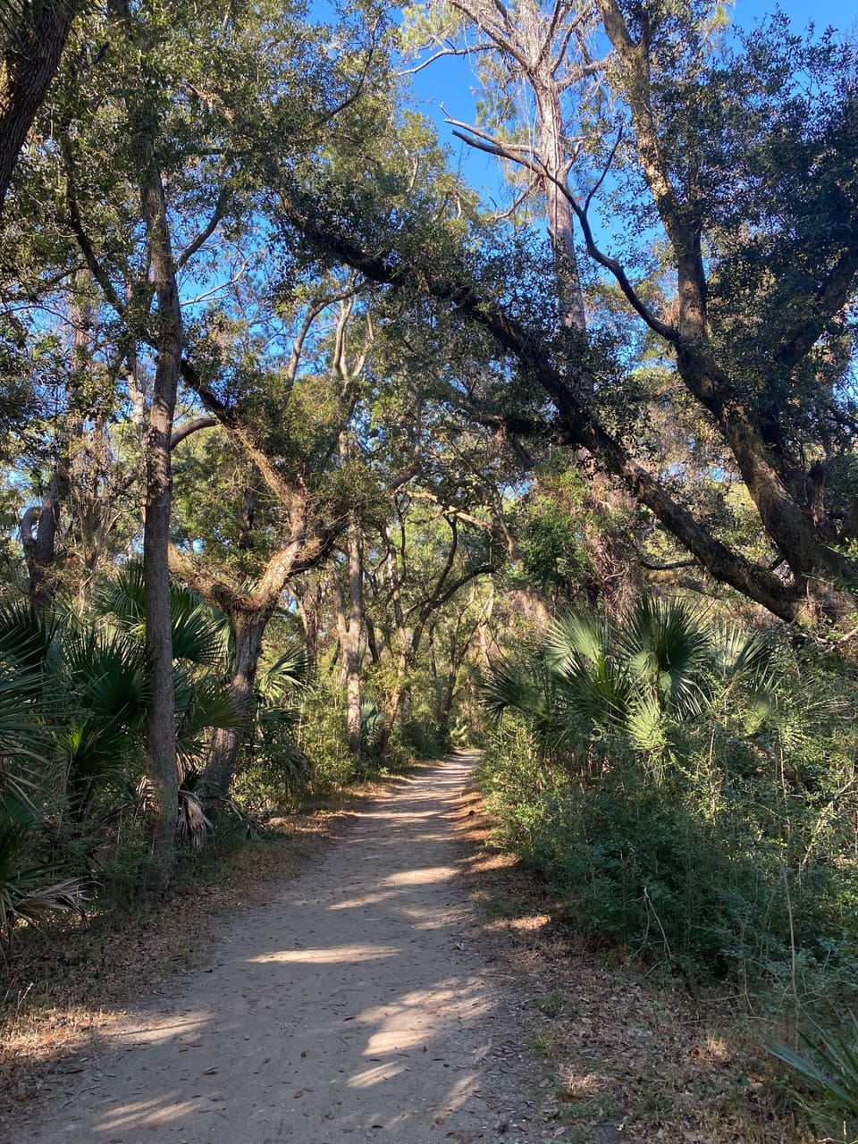 Nearby gorgeous hiking trails part of state park