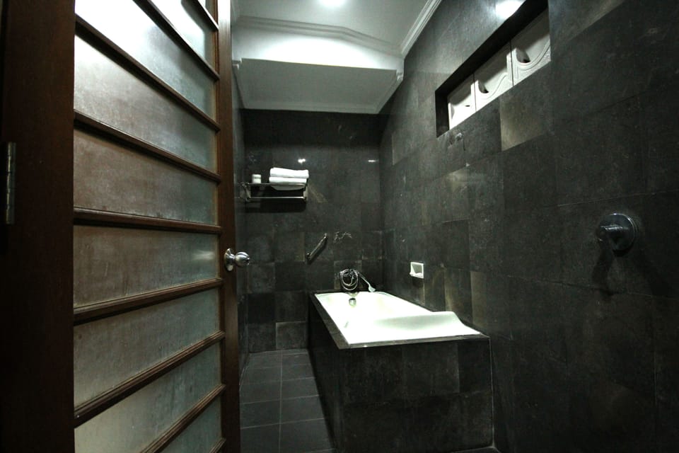Combined shower/tub, hair dryer, bidet, towels