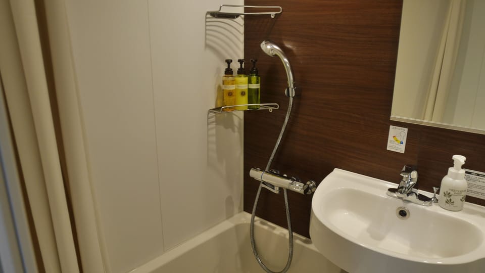 Combined shower/tub, hair dryer, electronic bidet, towels