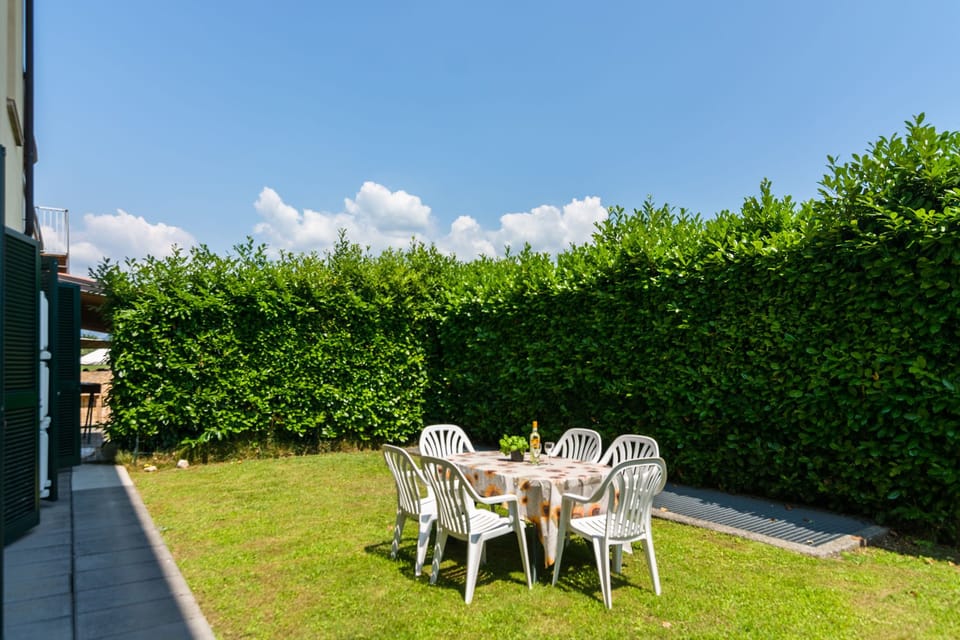 Garden [summer]